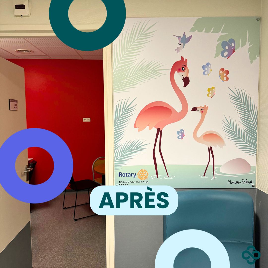 Fresque Néonat Hôpital Novo - Pontoise - Flamants