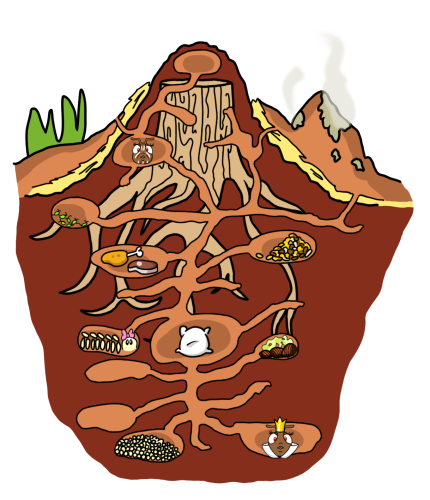 Fourmilière © Marion Décla-Salvat